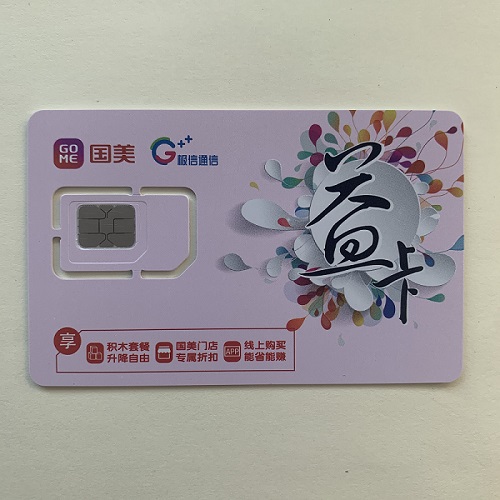 国美正面-500.jpg